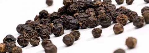 Black pepper may yeild a revolutionary vitiligo treatment